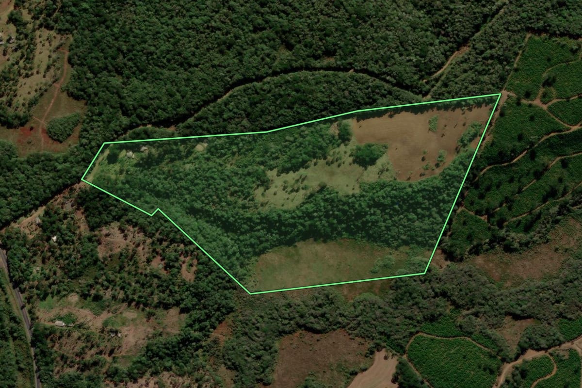 Imagem de satélite do imóvel rural em Guarapuava (PR), com o contorno declarado no CAR desenhado por cima.