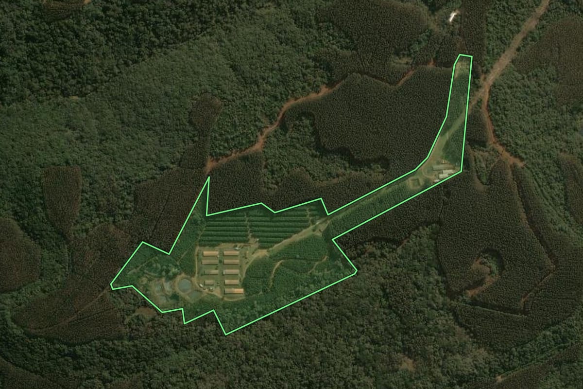 Imagem de satélite do imóvel rural em Guarapuava (PR), com o contorno declarado no CAR desenhado por cima.