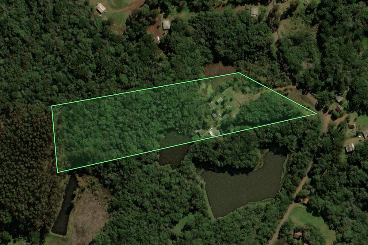 Imagem de satélite do imóvel rural em Guarapuava (PR), com o contorno declarado no CAR desenhado por cima.