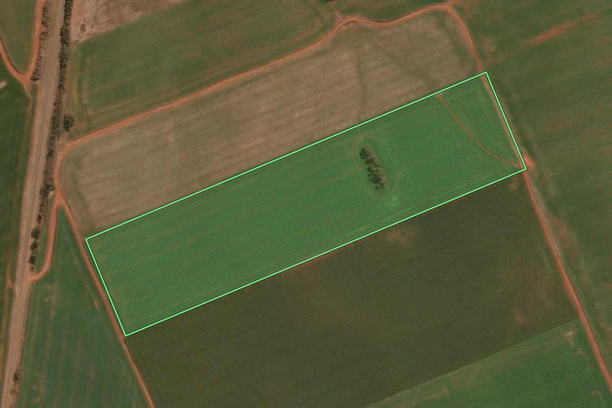 Imagem de satélite do imóvel rural em Guarapuava (PR), com o contorno declarado no CAR desenhado por cima.