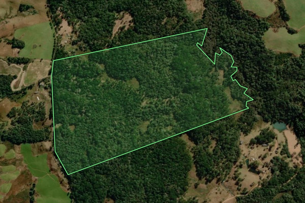 Imagem de satélite do imóvel rural em Guarapuava (PR), com o contorno declarado no CAR desenhado por cima.
