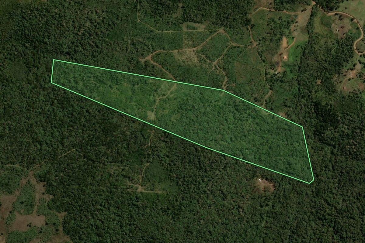 Imagem de satélite do imóvel rural em Guarapuava (PR), com o contorno declarado no CAR desenhado por cima.