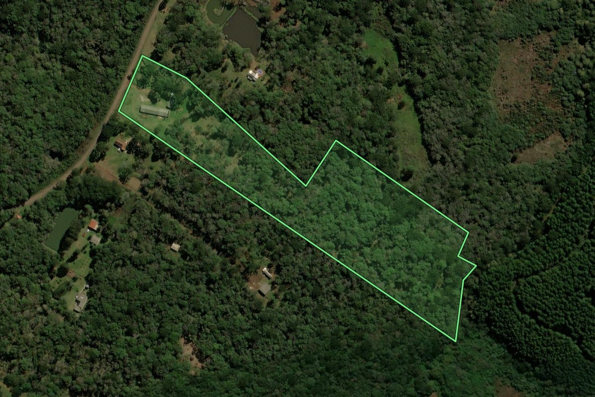 Imagem de satélite do imóvel rural em Guarapuava (PR), com o contorno declarado no CAR desenhado por cima.