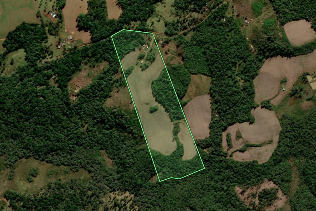 Imagem de satélite do imóvel rural em Guarapuava (PR), com o contorno declarado no CAR desenhado por cima.