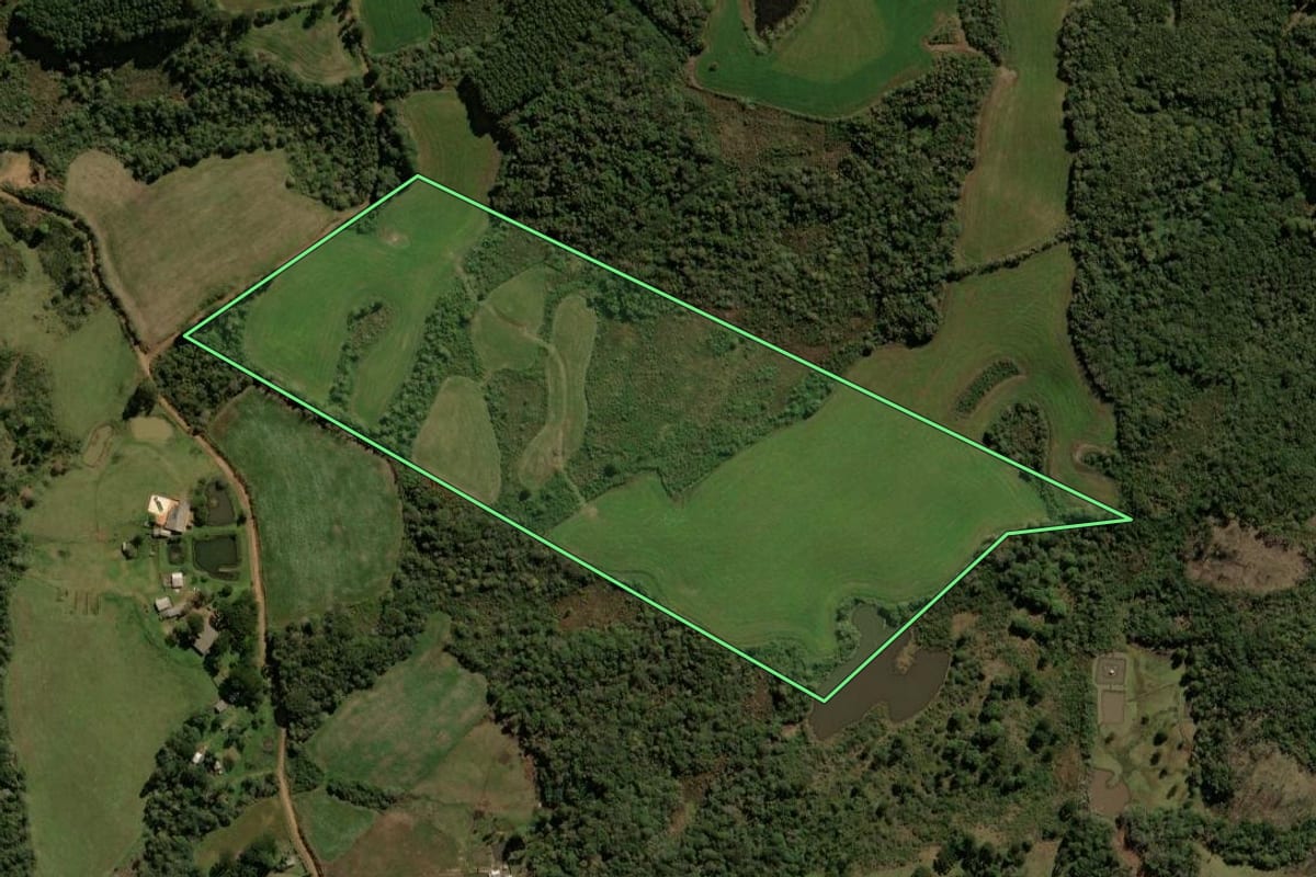 Imagem de satélite do imóvel rural em Guarapuava (PR), com o contorno declarado no CAR desenhado por cima.