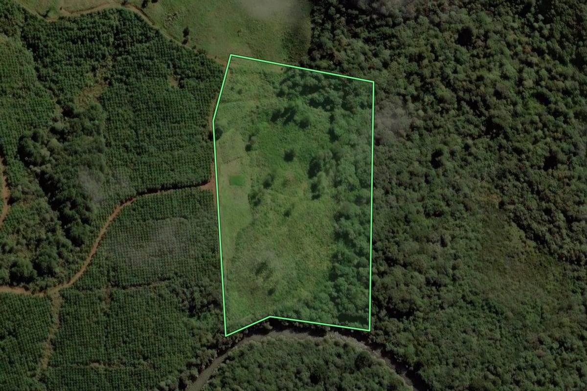 Imagem de satélite do imóvel rural em Guarapuava (PR), com o contorno declarado no CAR desenhado por cima.