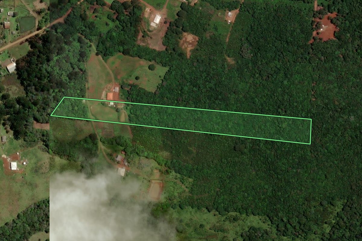Imagem de satélite do imóvel rural em Guarapuava (PR), com o contorno declarado no CAR desenhado por cima.