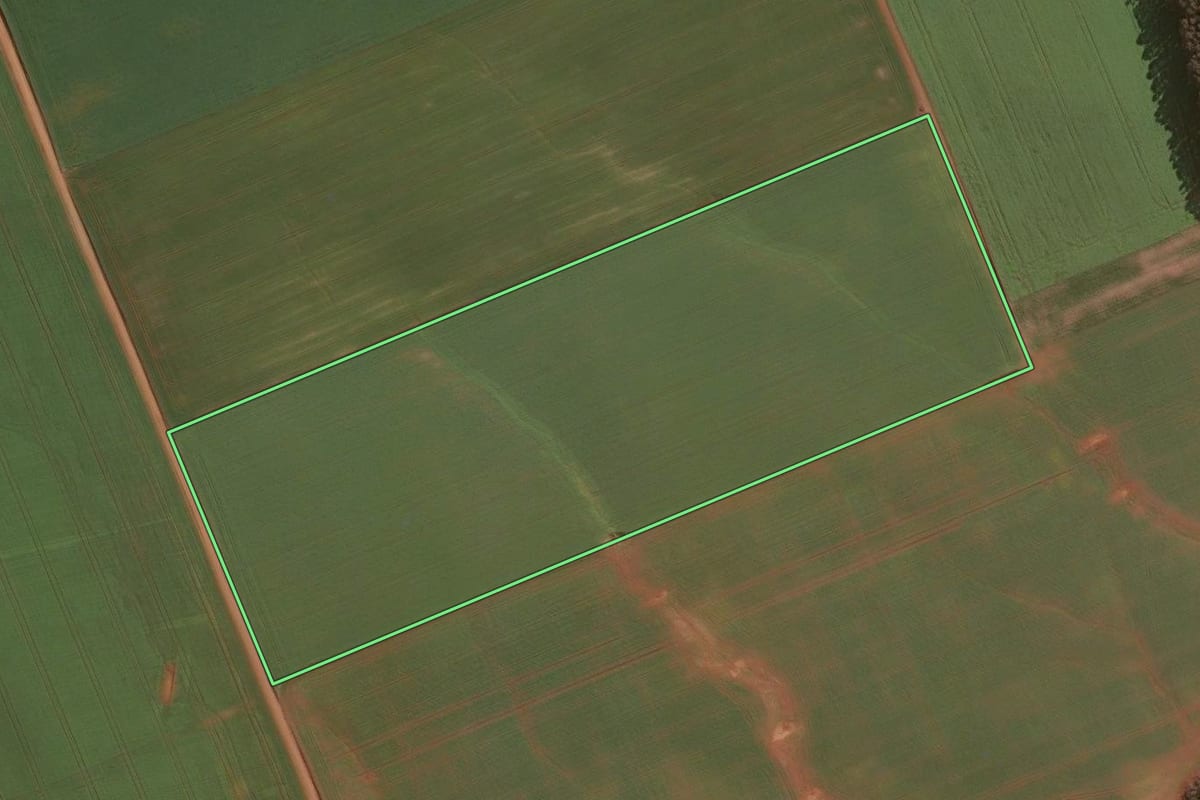 Imagem de satélite do imóvel rural em Guarapuava (PR), com o contorno declarado no CAR desenhado por cima.
