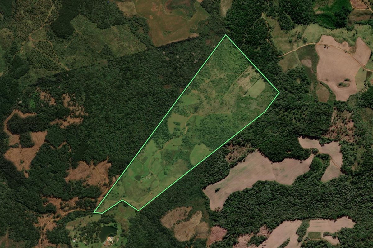 Imagem de satélite do imóvel rural em Guarapuava (PR), com o contorno declarado no CAR desenhado por cima.