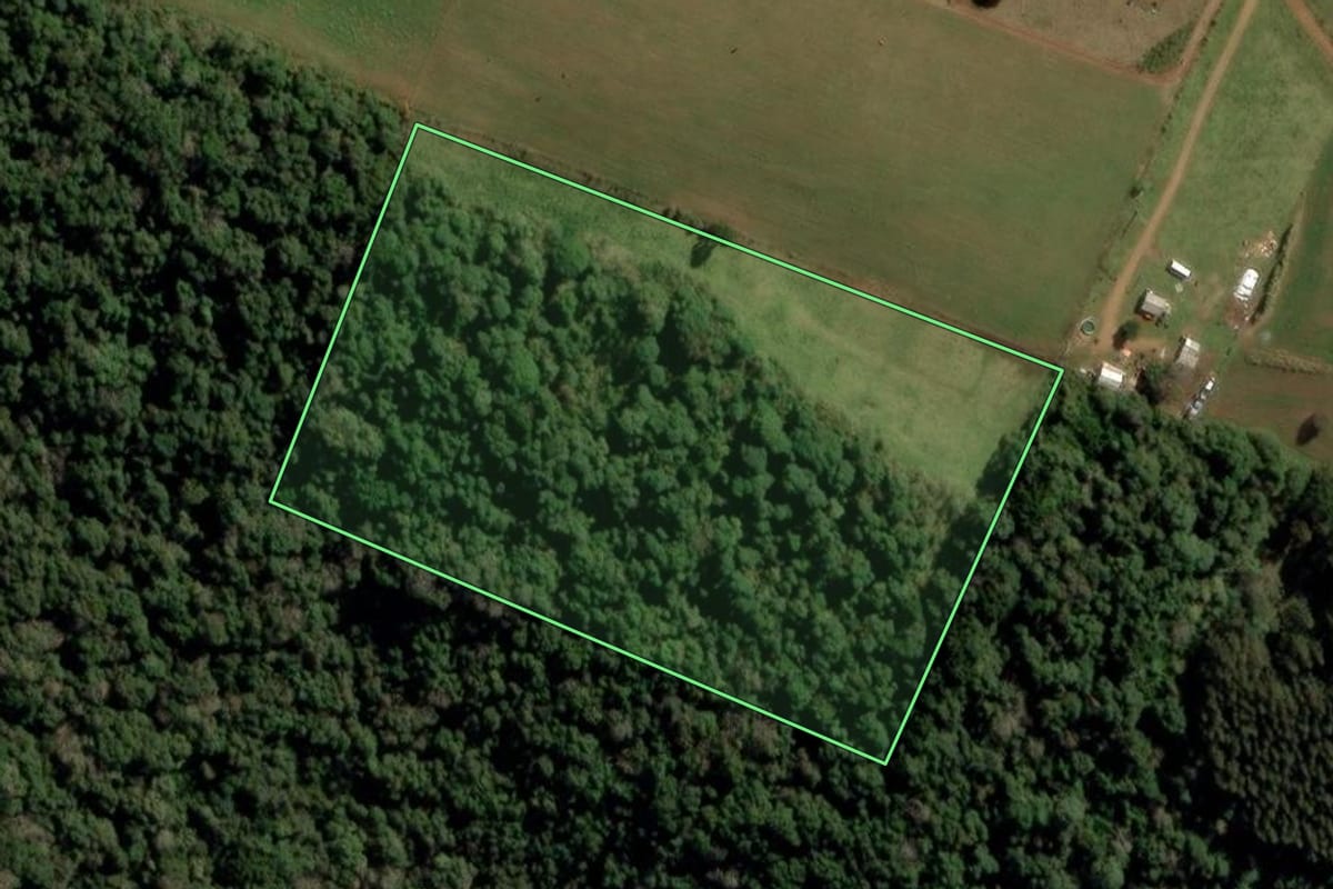 Imagem de satélite do imóvel rural em Guarapuava (PR), com o contorno declarado no CAR desenhado por cima.