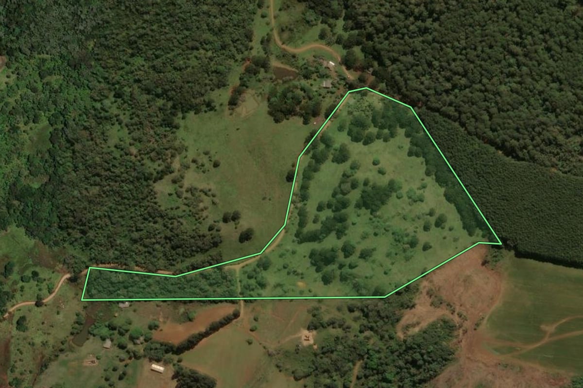 Imagem de satélite do imóvel rural em Guarapuava (PR), com o contorno declarado no CAR desenhado por cima.