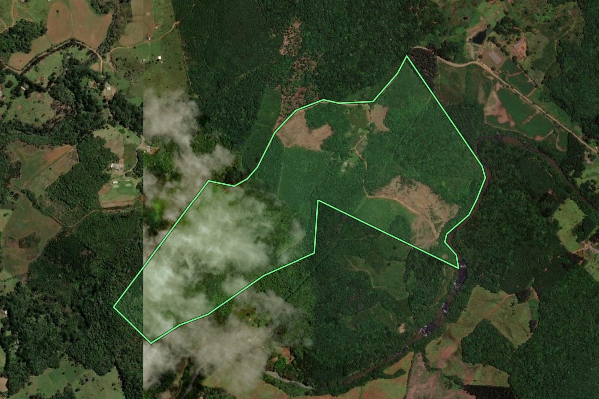 Imagem de satélite do imóvel rural em Guarapuava (PR), com o contorno declarado no CAR desenhado por cima.
