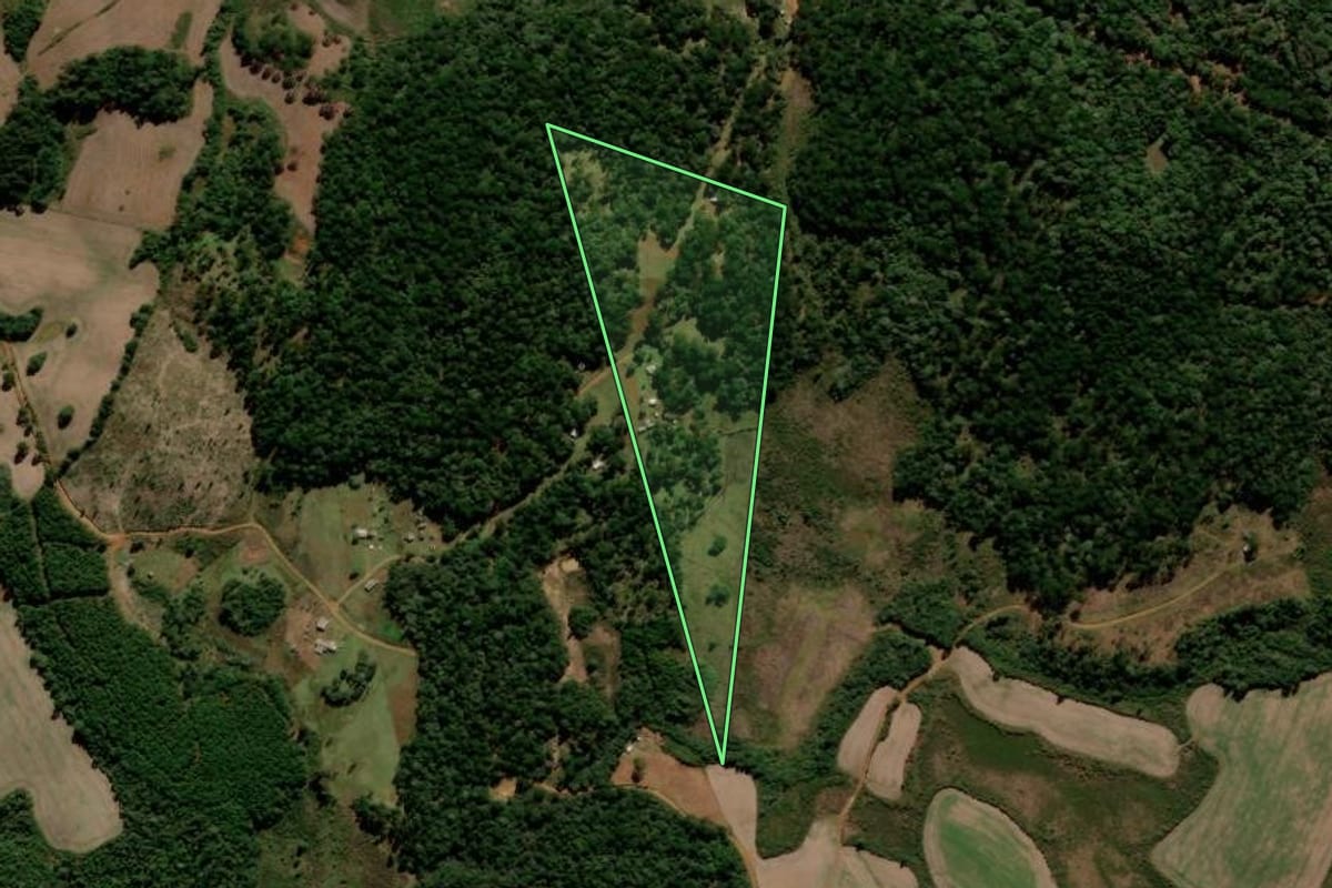 Imagem de satélite do imóvel rural em Guarapuava (PR), com o contorno declarado no CAR desenhado por cima.