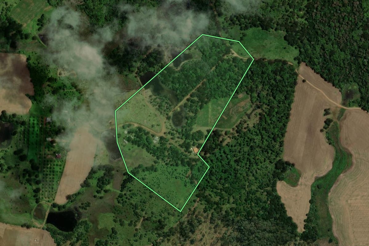 Imagem de satélite do imóvel rural em Guarapuava (PR), com o contorno declarado no CAR desenhado por cima.