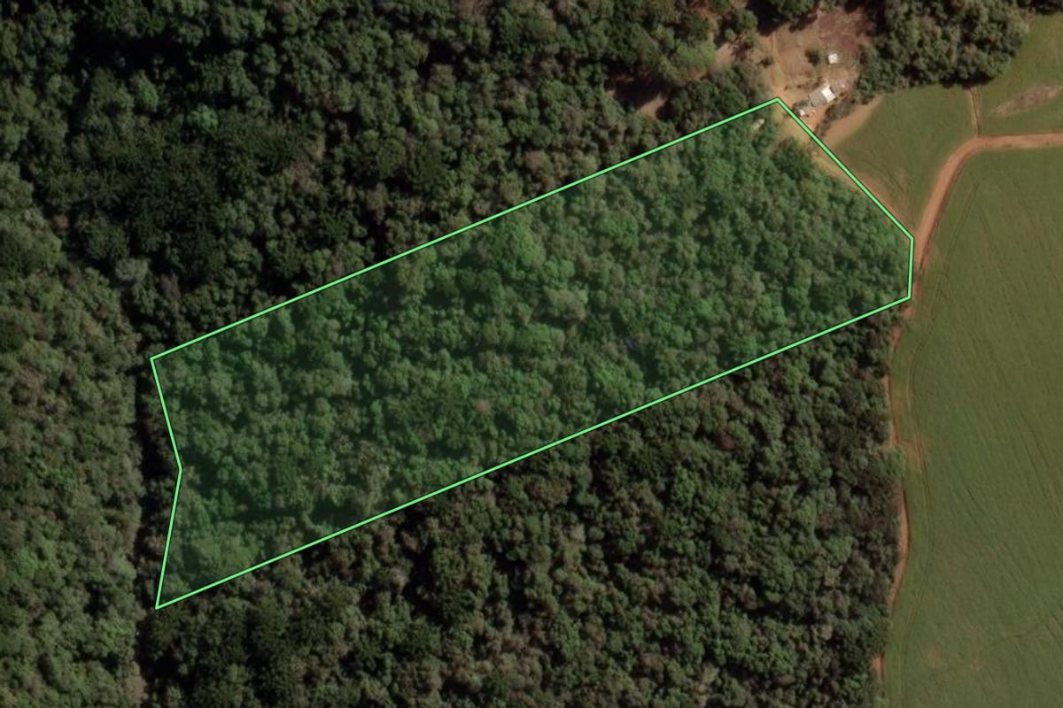 Imagem de satélite do imóvel rural em Guarapuava (PR), com o contorno declarado no CAR desenhado por cima.