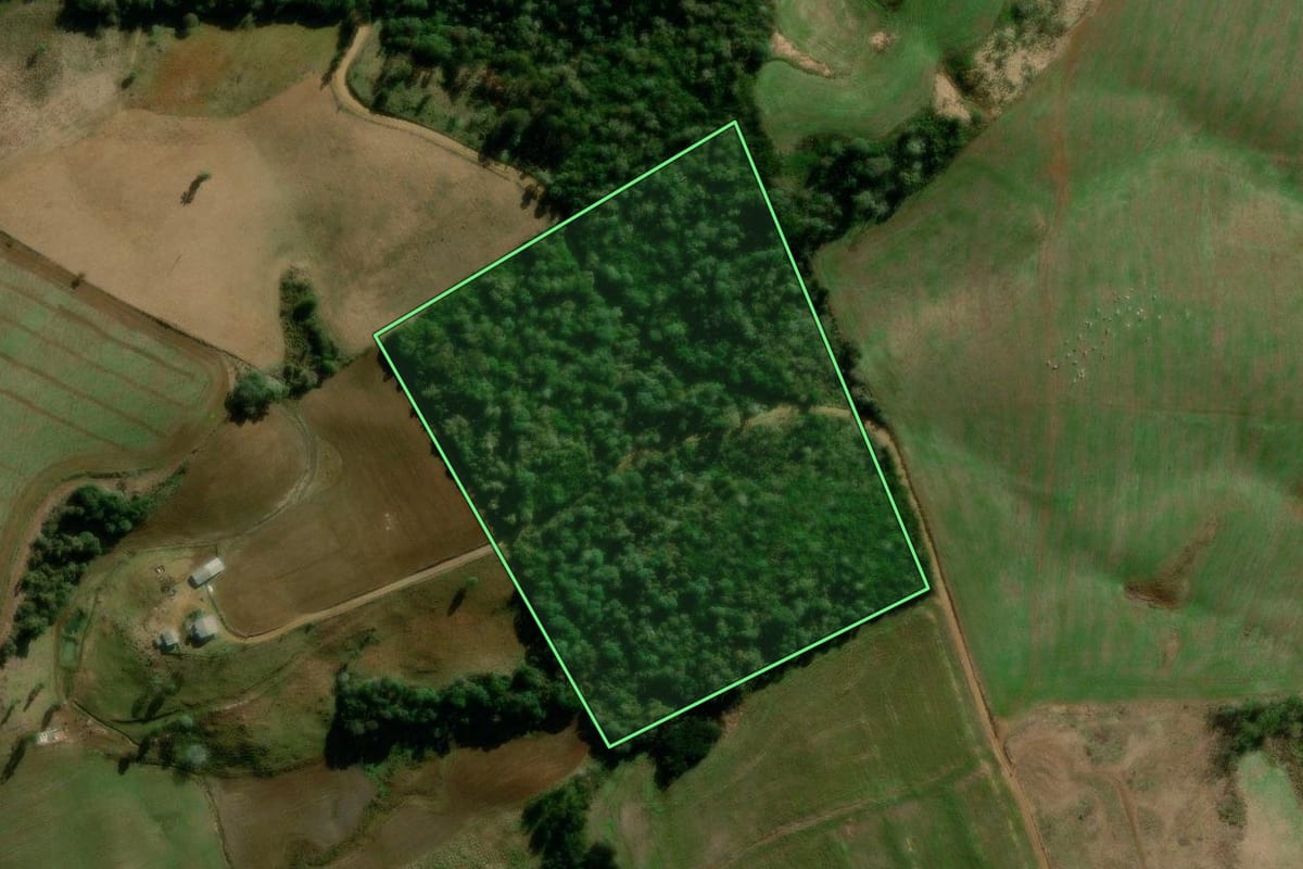 Imagem de satélite do imóvel rural em Guarapuava (PR), com o contorno declarado no CAR desenhado por cima.
