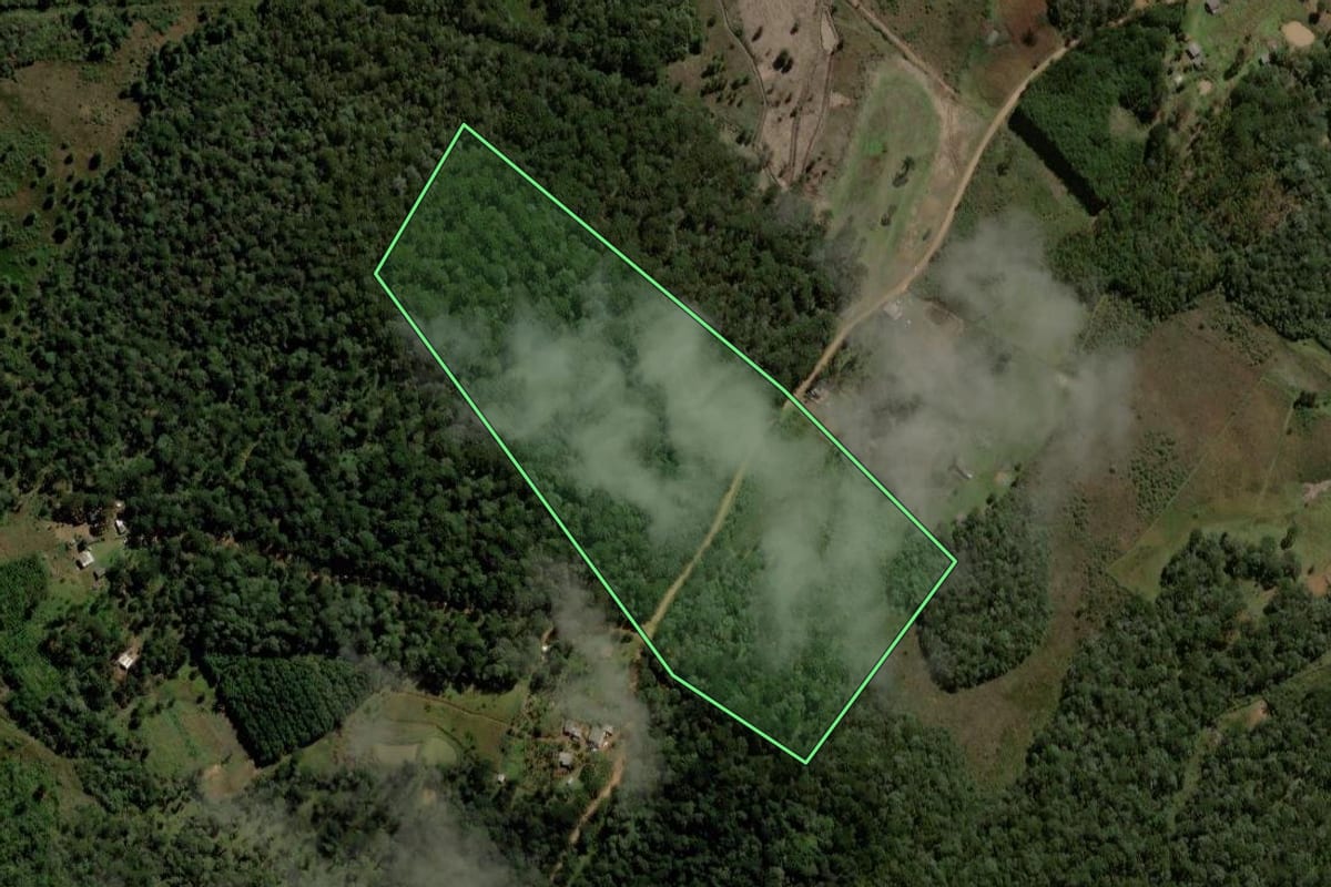 Imagem de satélite do imóvel rural em Guarapuava (PR), com o contorno declarado no CAR desenhado por cima.