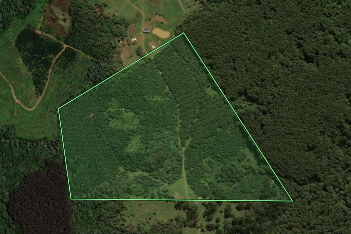 Imagem de satélite do imóvel rural em Guarapuava (PR), com o contorno declarado no CAR desenhado por cima.