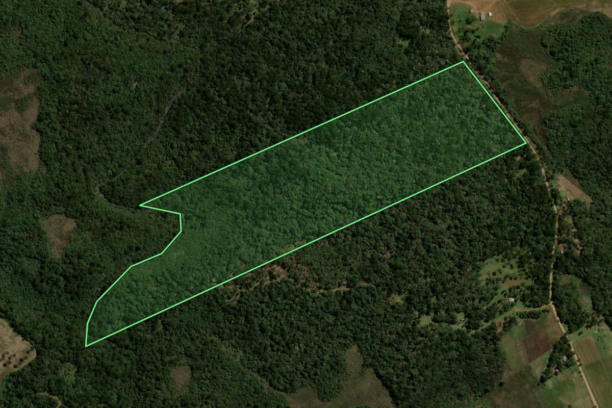 Imagem de satélite do imóvel rural em Guarapuava (PR), com o contorno declarado no CAR desenhado por cima.