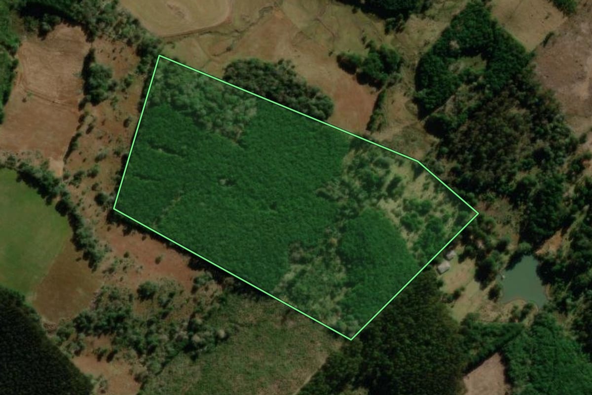 Imagem de satélite do imóvel rural em Guarapuava (PR), com o contorno declarado no CAR desenhado por cima.