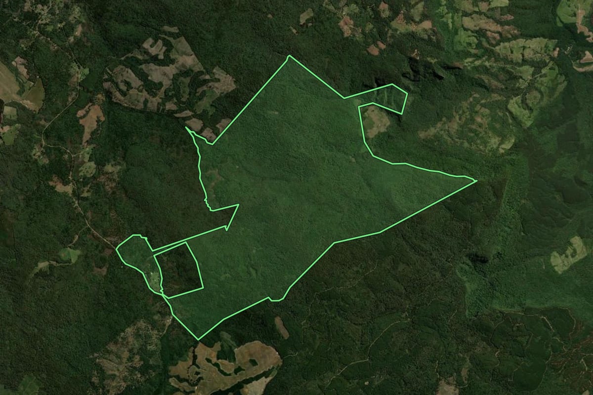Imagem de satélite do imóvel rural em Guarapuava (PR), com o contorno declarado no CAR desenhado por cima.