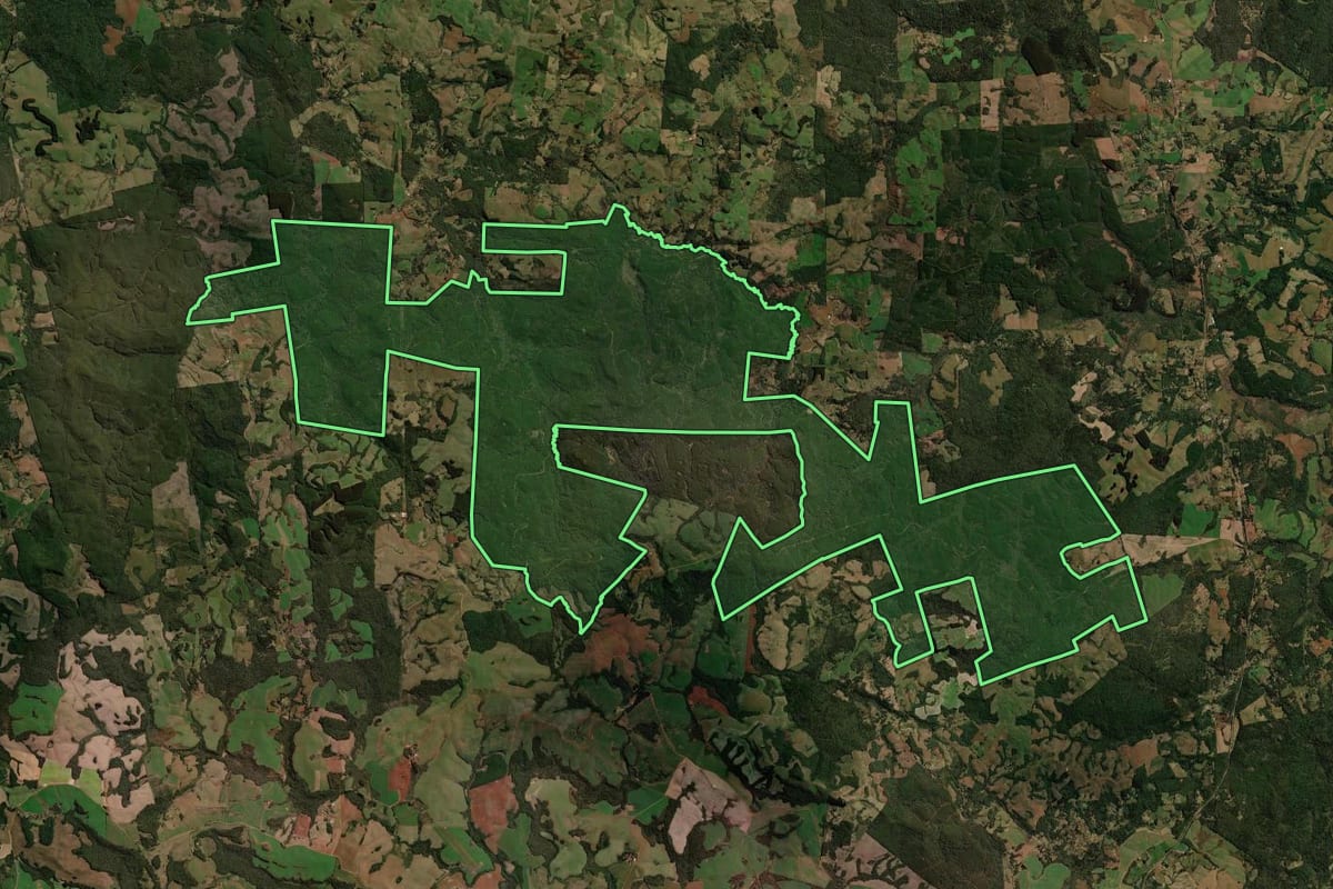 Imagem de satélite do imóvel rural em Guarapuava (PR), com o contorno declarado no CAR desenhado por cima.