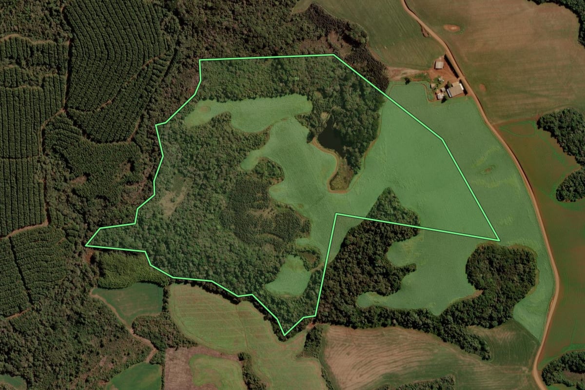 Imagem de satélite do imóvel rural em Guarapuava (PR), com o contorno declarado no CAR desenhado por cima.
