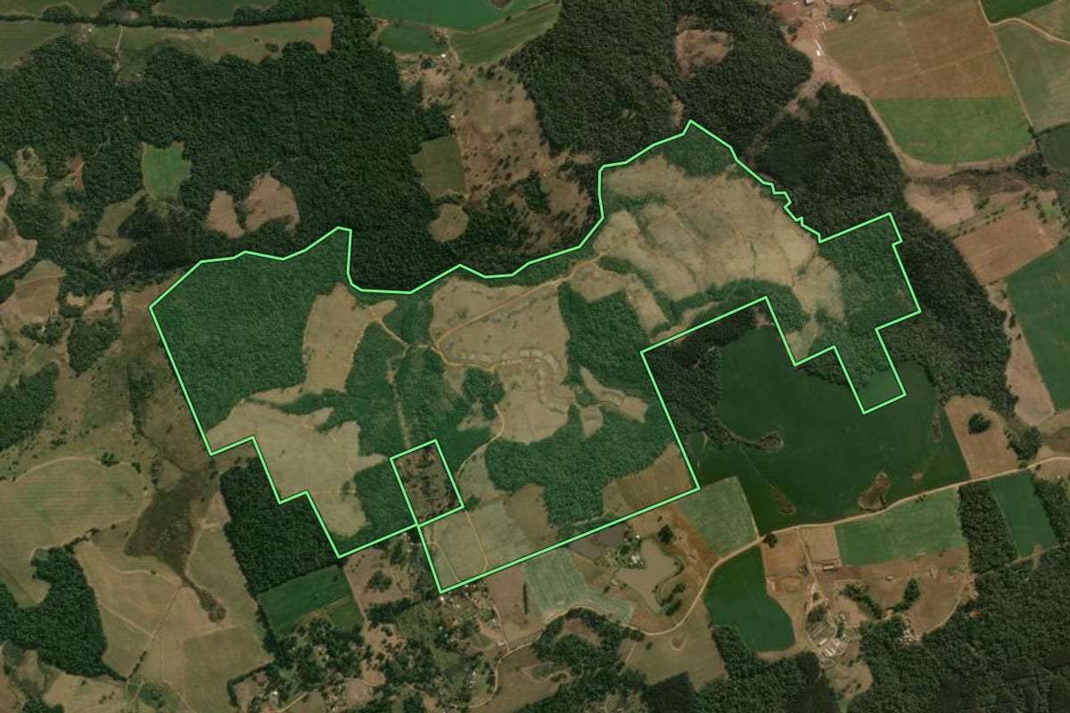 Imagem de satélite do imóvel rural em Guarapuava (PR), com o contorno declarado no CAR desenhado por cima.