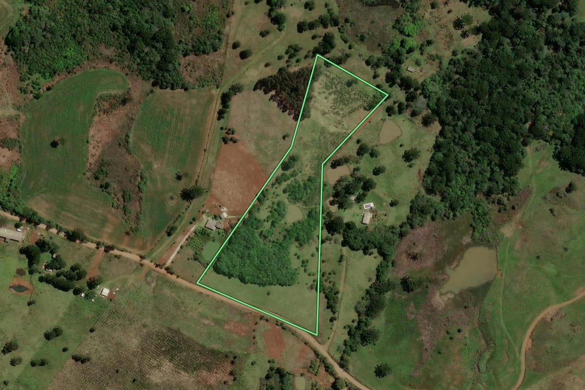 Imagem de satélite do imóvel rural em Guarapuava (PR), com o contorno declarado no CAR desenhado por cima.