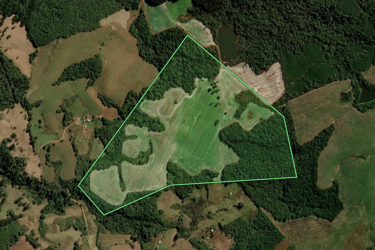 Imagem de satélite do imóvel rural em Guarapuava (PR), com o contorno declarado no CAR desenhado por cima.