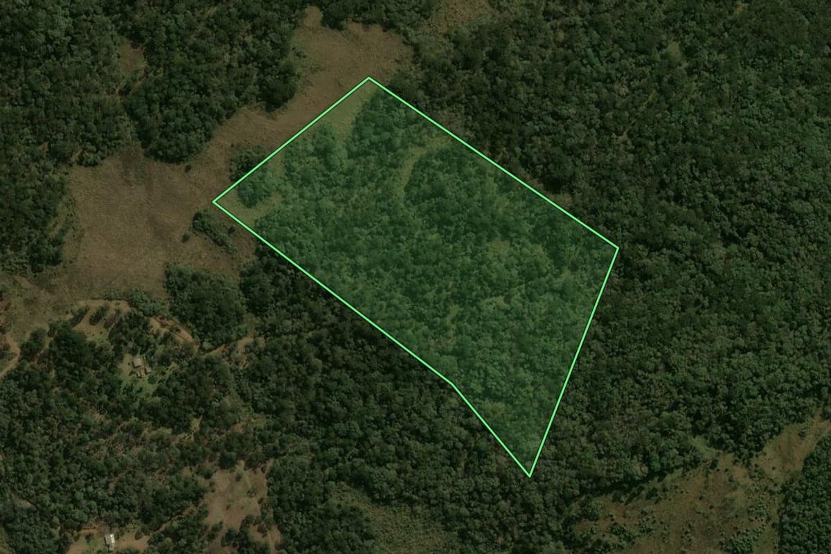 Imagem de satélite do imóvel rural em Guarapuava (PR), com o contorno declarado no CAR desenhado por cima.