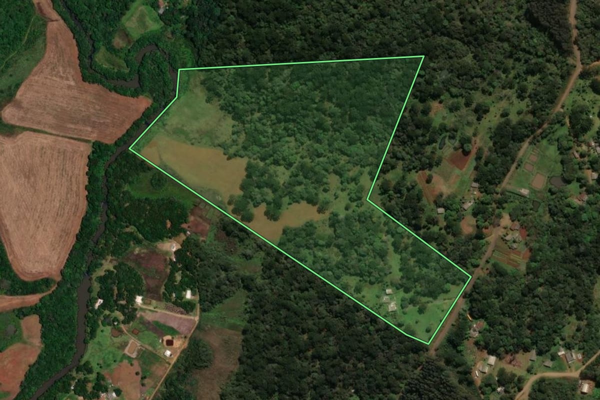 Imagem de satélite do imóvel rural em Guarapuava (PR), com o contorno declarado no CAR desenhado por cima.