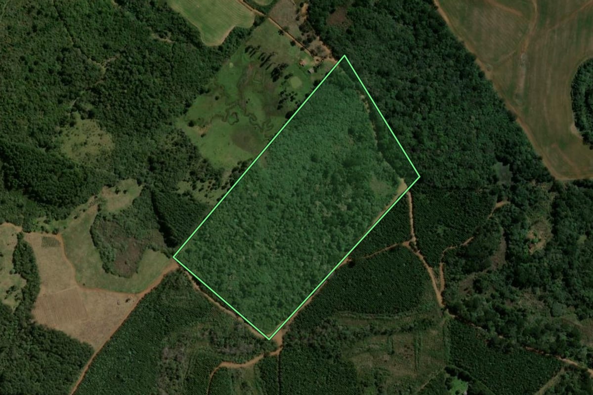 Imagem de satélite do imóvel rural em Guarapuava (PR), com o contorno declarado no CAR desenhado por cima.