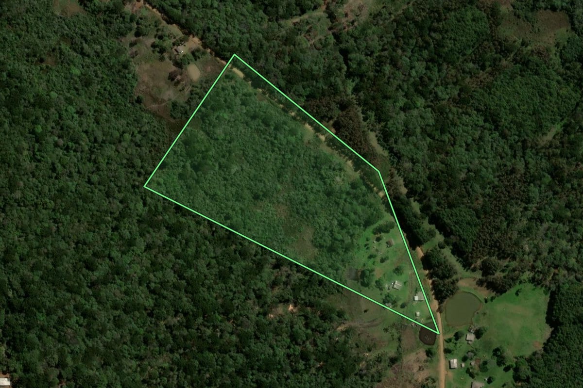Imagem de satélite do imóvel rural em Guarapuava (PR), com o contorno declarado no CAR desenhado por cima.