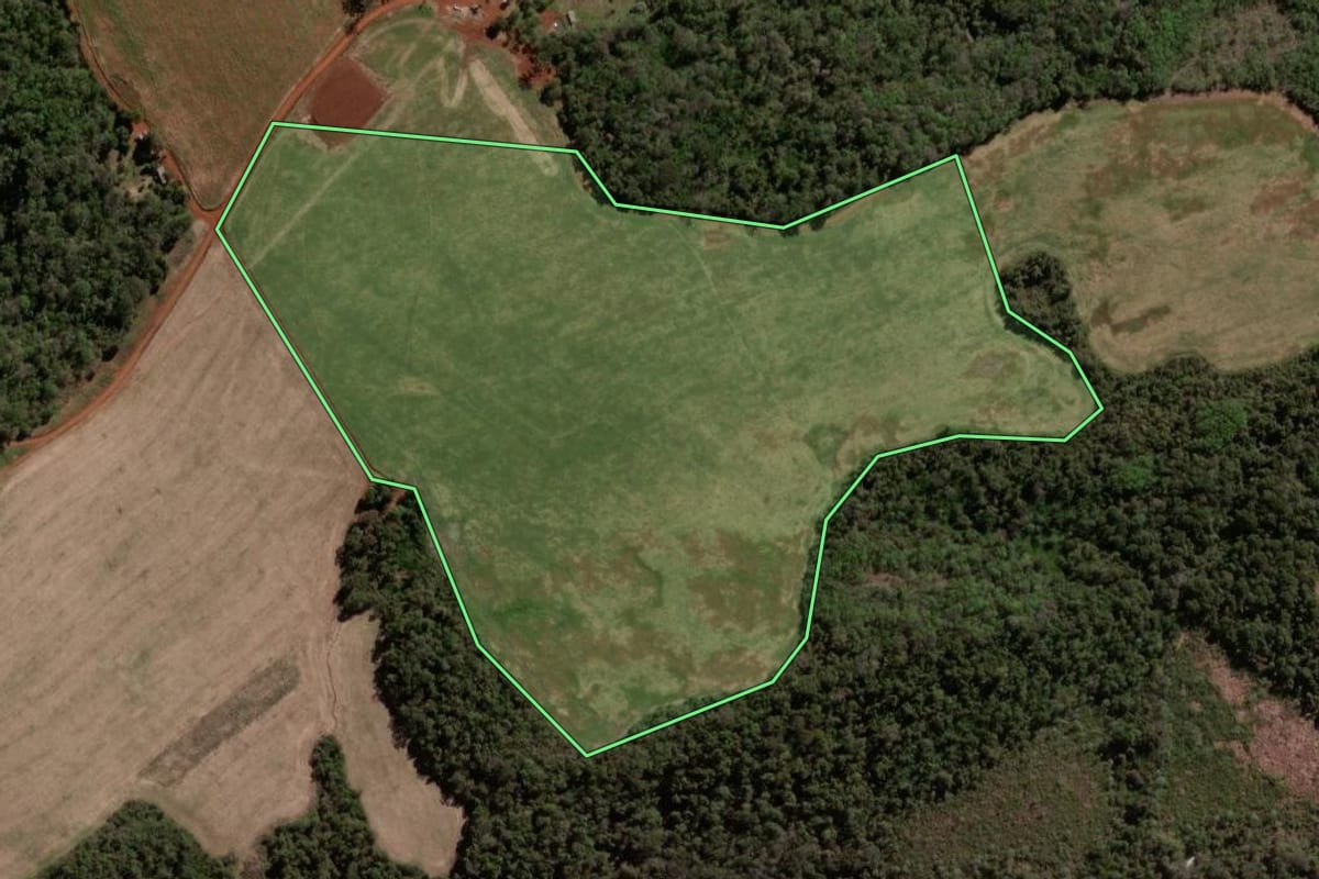 Imagem de satélite do imóvel rural em Guarapuava (PR), com o contorno declarado no CAR desenhado por cima.
