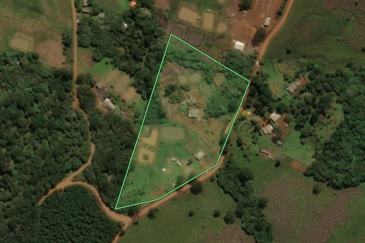 Imagem de satélite do imóvel rural em Guarapuava (PR), com o contorno declarado no CAR desenhado por cima.