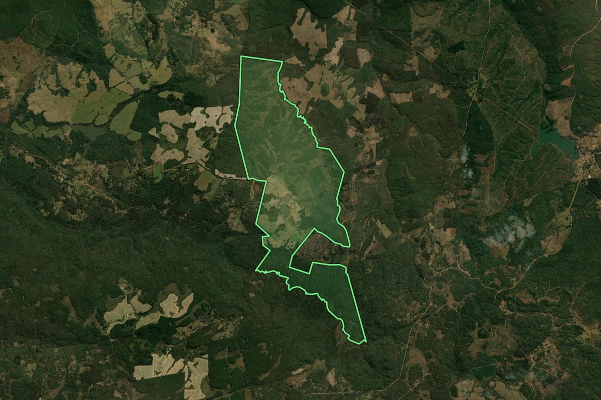 Imagem de satélite do imóvel rural em Guarapuava (PR), com o contorno declarado no CAR desenhado por cima.