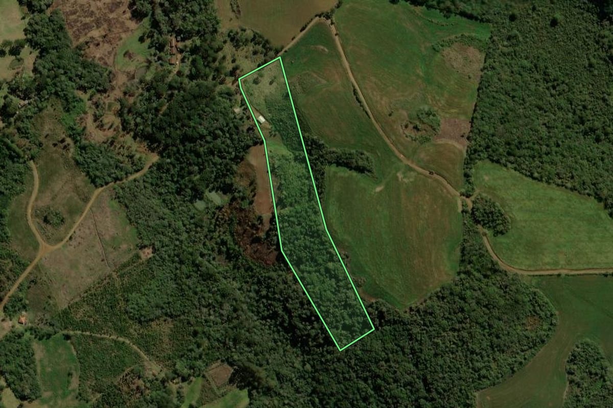 Imagem de satélite do imóvel rural em Guarapuava (PR), com o contorno declarado no CAR desenhado por cima.