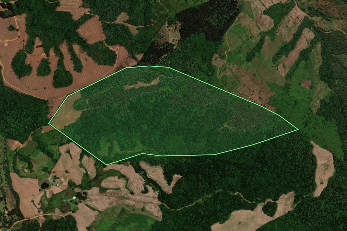 Imagem de satélite do imóvel rural em Guarapuava (PR), com o contorno declarado no CAR desenhado por cima.