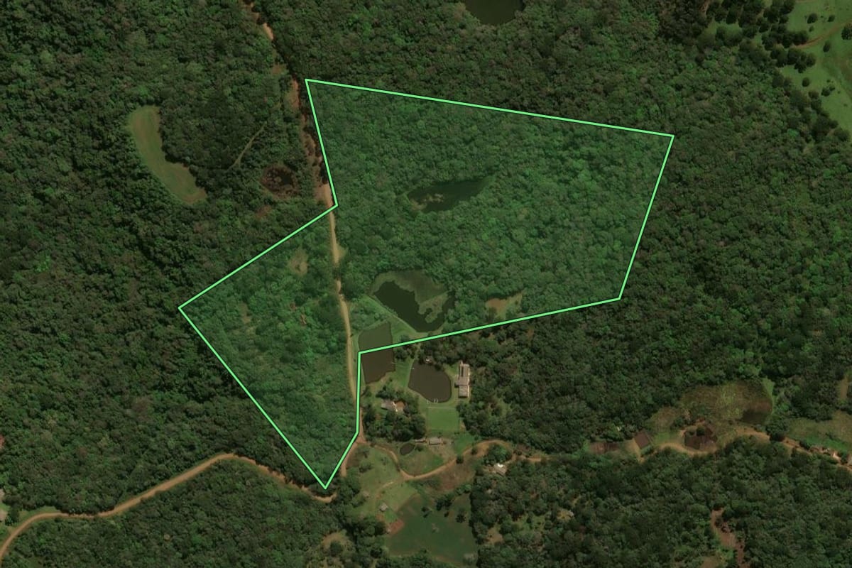 Imagem de satélite do imóvel rural em Guarapuava (PR), com o contorno declarado no CAR desenhado por cima.