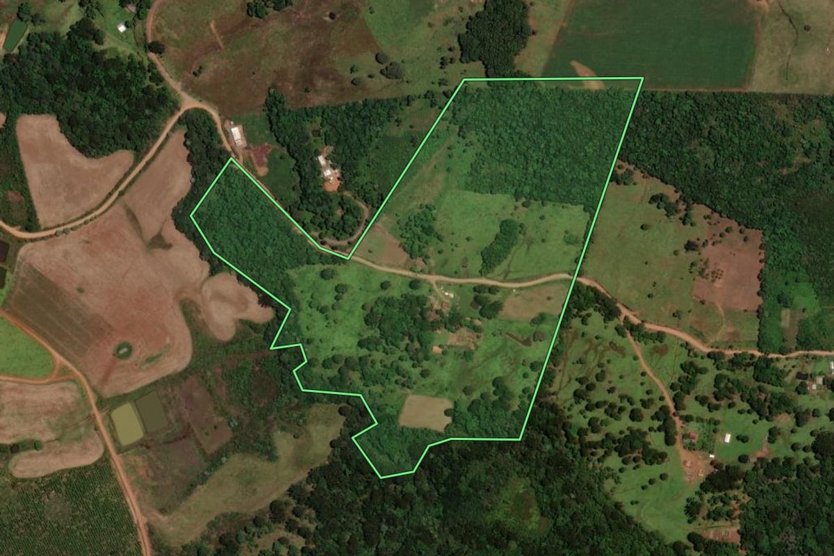 Imagem de satélite do imóvel rural em Guarapuava (PR), com o contorno declarado no CAR desenhado por cima.