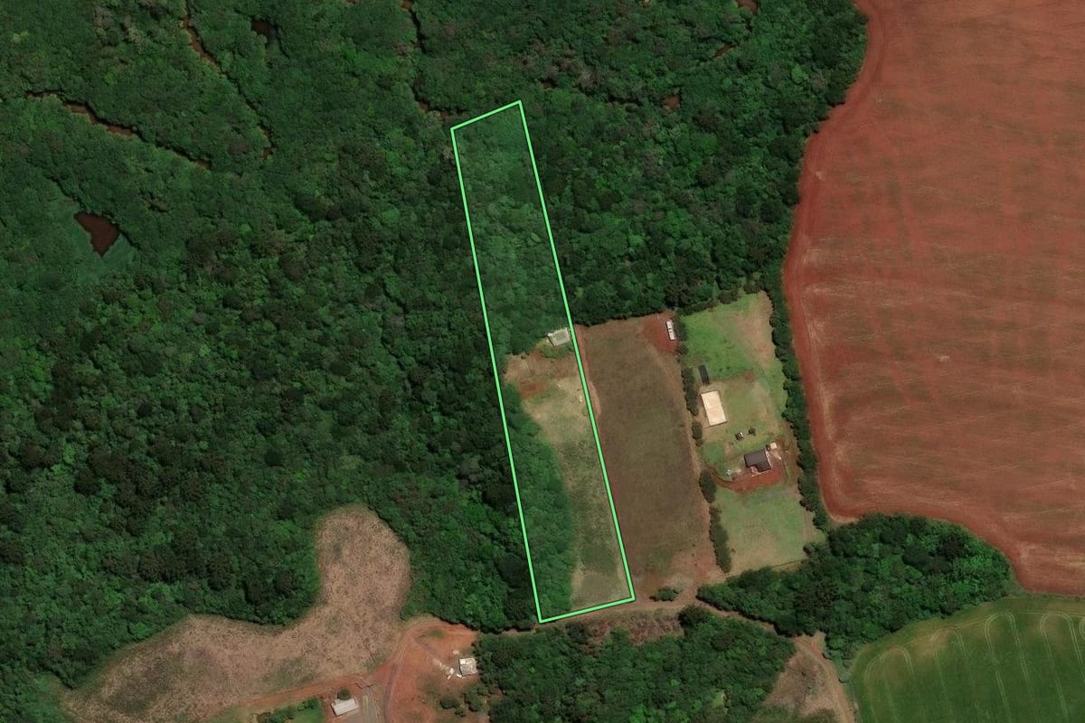 Imagem de satélite do imóvel rural em Guarapuava (PR), com o contorno declarado no CAR desenhado por cima.