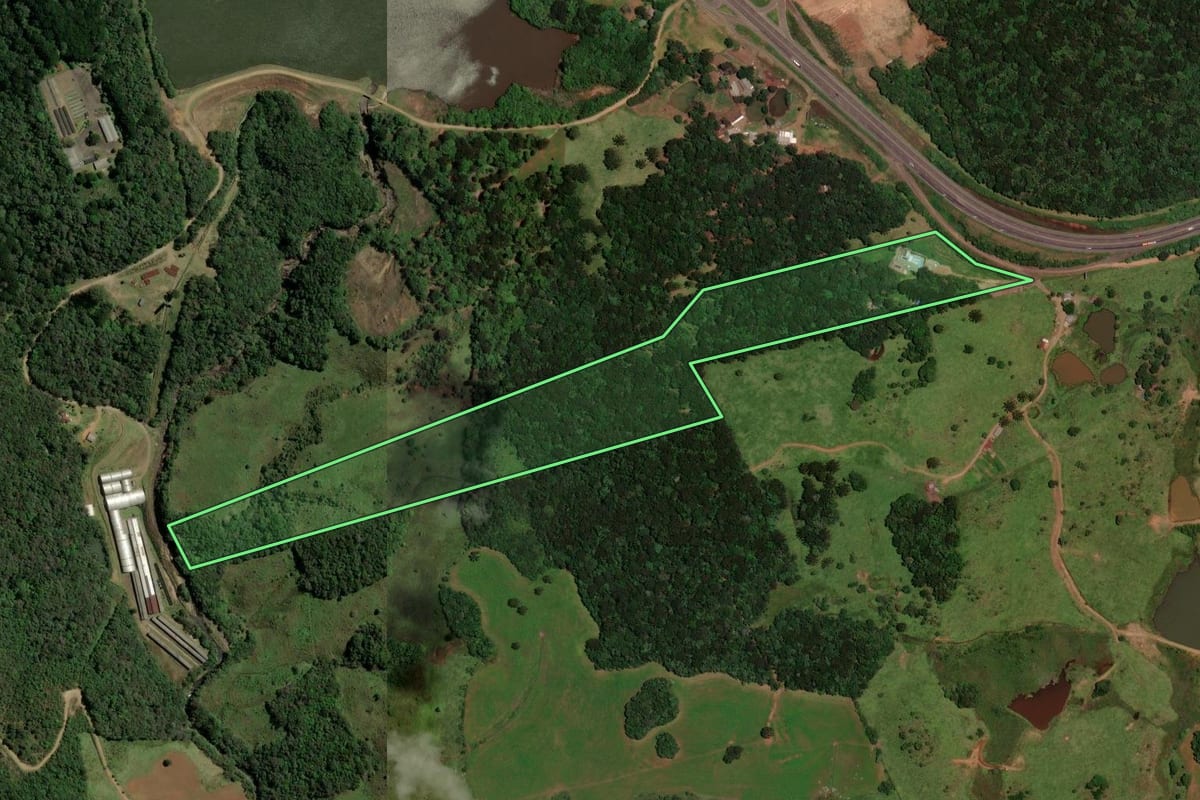 Imagem de satélite do imóvel rural em Guarapuava (PR), com o contorno declarado no CAR desenhado por cima.