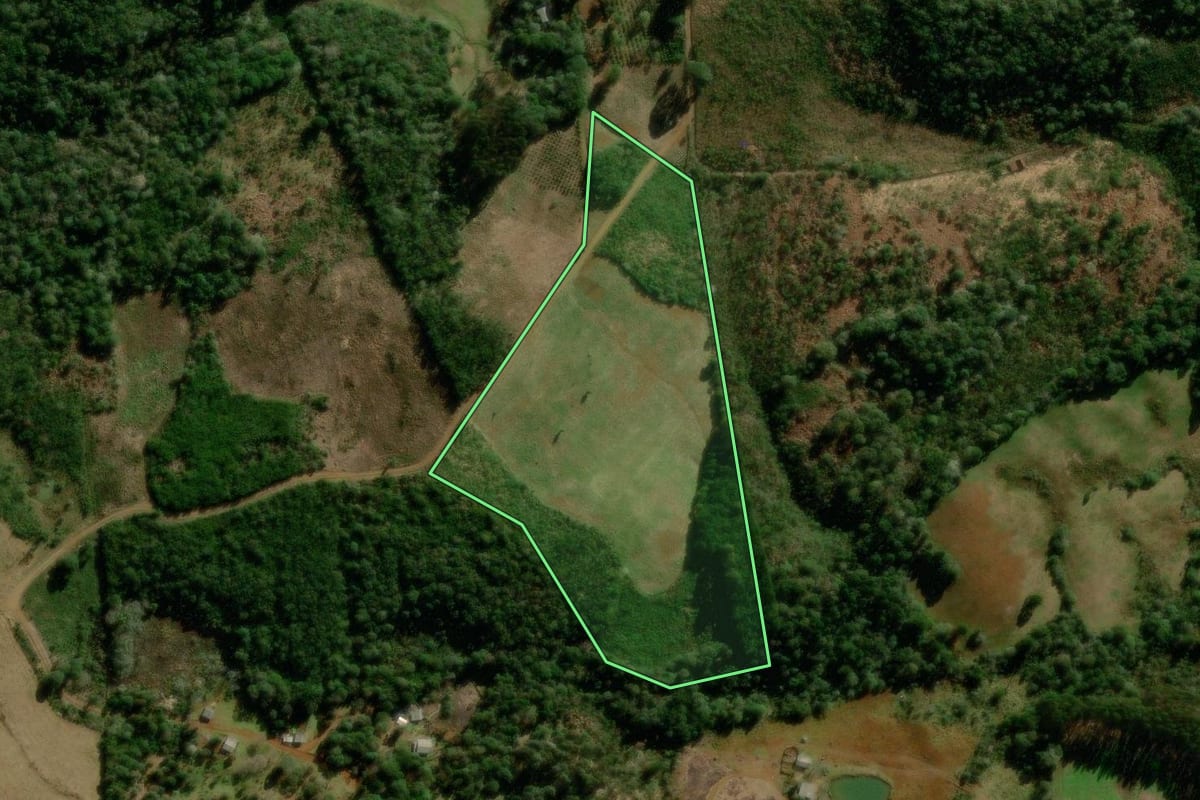 Imagem de satélite do imóvel rural em Guarapuava (PR), com o contorno declarado no CAR desenhado por cima.