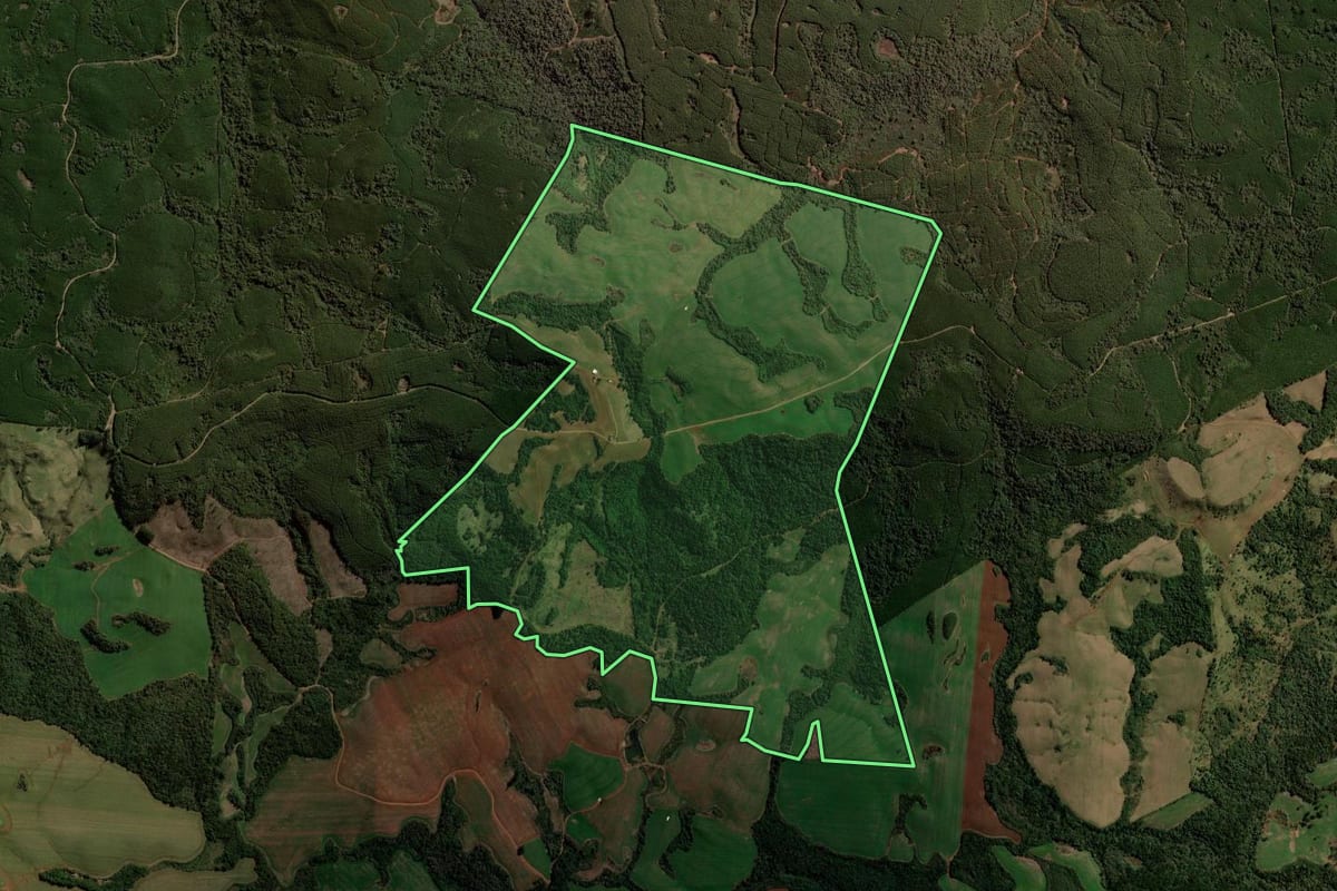 Imagem de satélite do imóvel rural em Guarapuava (PR), com o contorno declarado no CAR desenhado por cima.