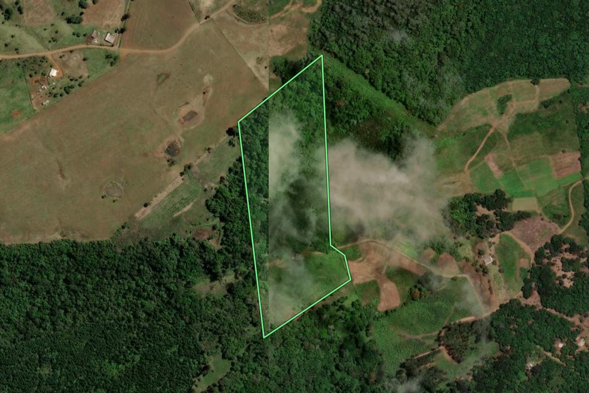 Imagem de satélite do imóvel rural em Guarapuava (PR), com o contorno declarado no CAR desenhado por cima.