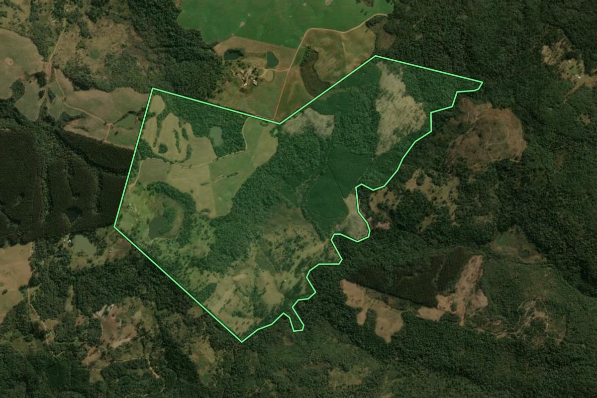 Imagem de satélite do imóvel rural em Guarapuava (PR), com o contorno declarado no CAR desenhado por cima.
