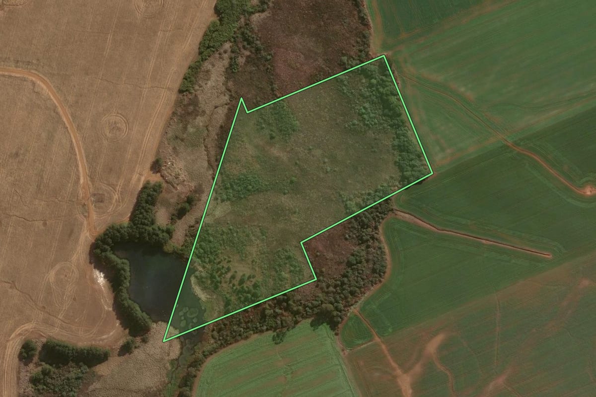 Imagem de satélite do imóvel rural em Guarapuava (PR), com o contorno declarado no CAR desenhado por cima.