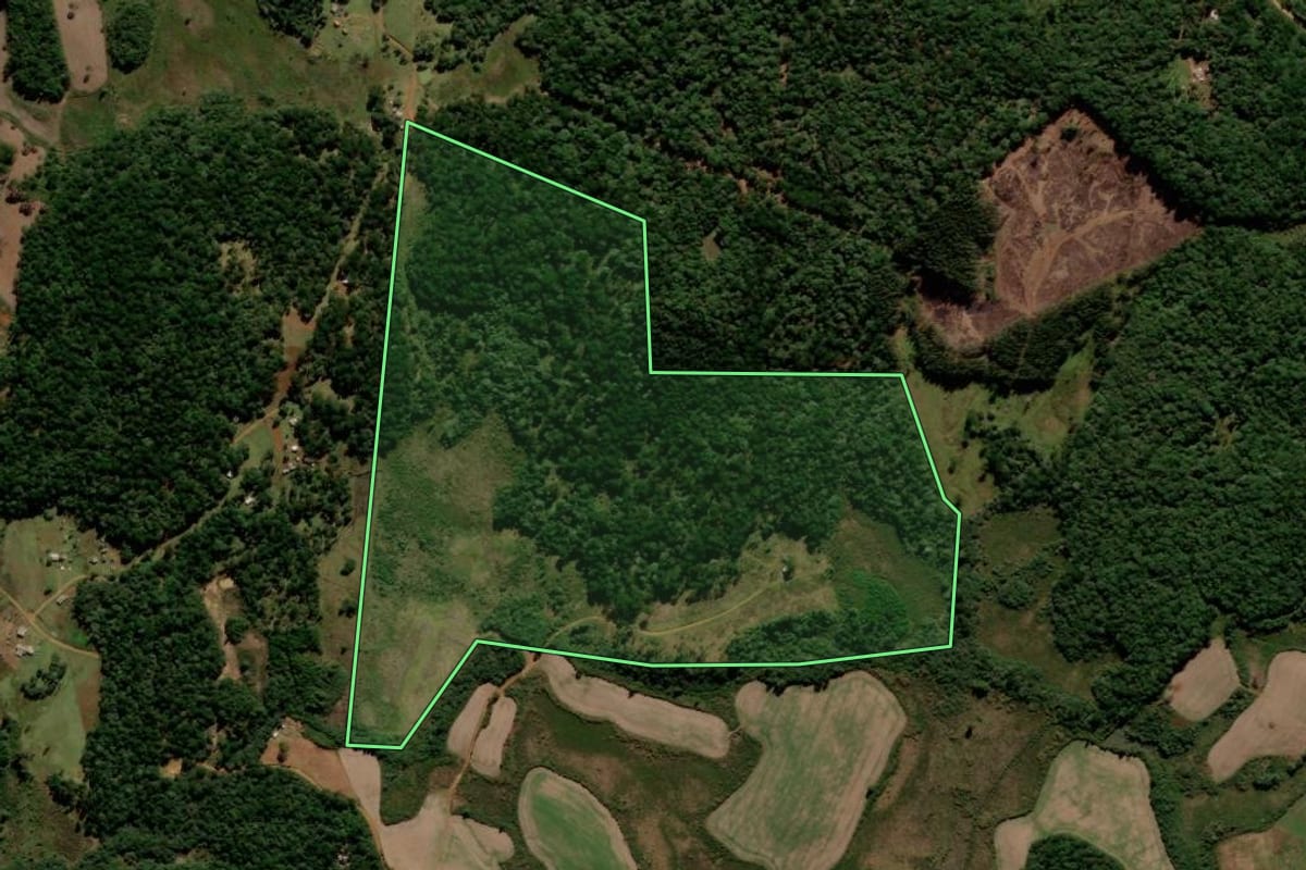 Imagem de satélite do imóvel rural em Guarapuava (PR), com o contorno declarado no CAR desenhado por cima.