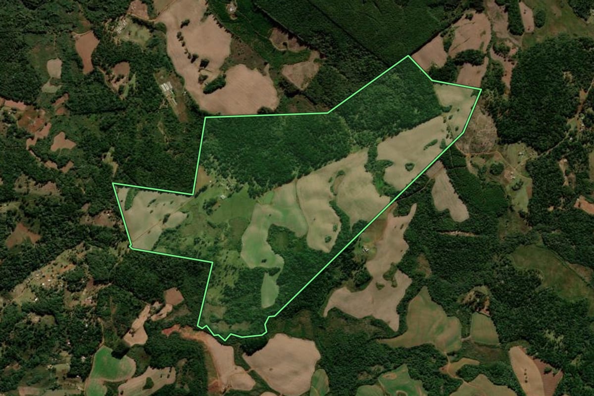 Imagem de satélite do imóvel rural em Guarapuava (PR), com o contorno declarado no CAR desenhado por cima.